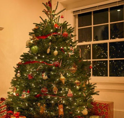 🎄 Masajes Regalo Navidad 2025 en Valencia e Ibiza – El detalle perfecto para bienestar, relax y renovación